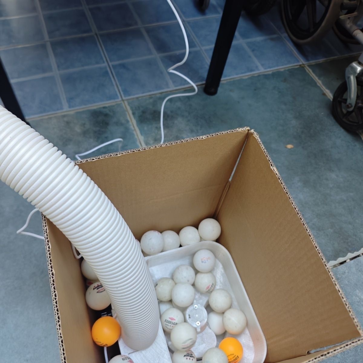Automatic Table Tennis Loading - Table Tennis Balls ulasan dan harga