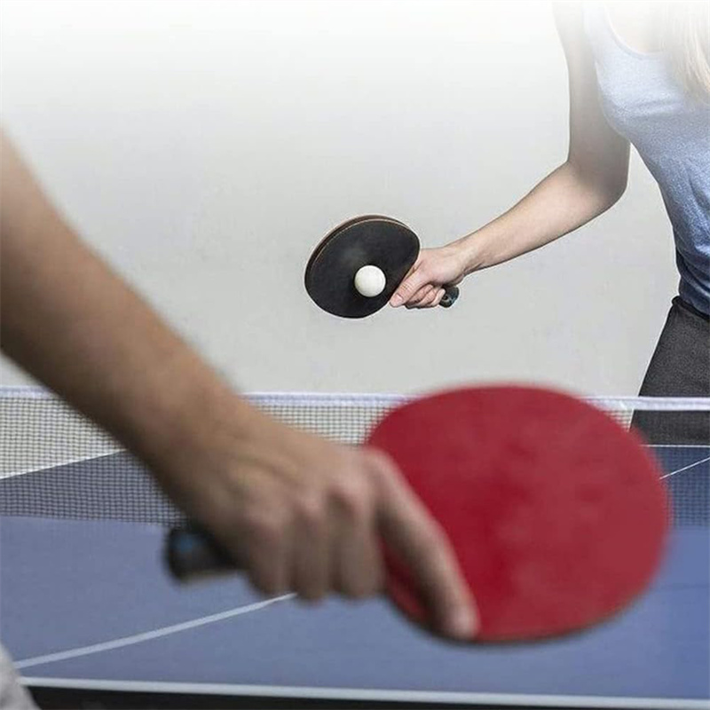 Portable Table Tennis Net Poly - Table Tennis Gun ulasan dan harga
